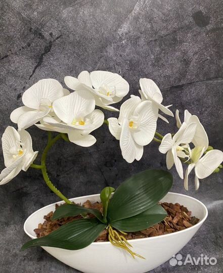 Орхидея фаленопсис из латекса