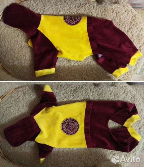 Вещи для небольшой собаки