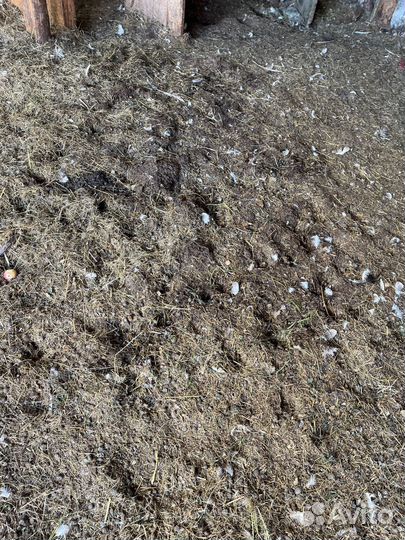 Навоз козий, подстилка