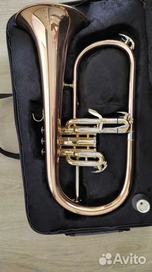 Флюгельгорн Roy Benson FH-302G