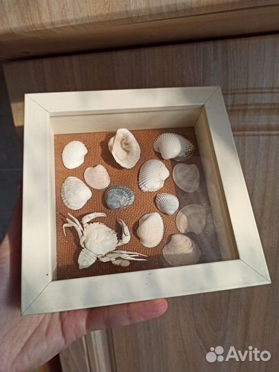 Панно ракушки, краб в объёмной раме под стеклом