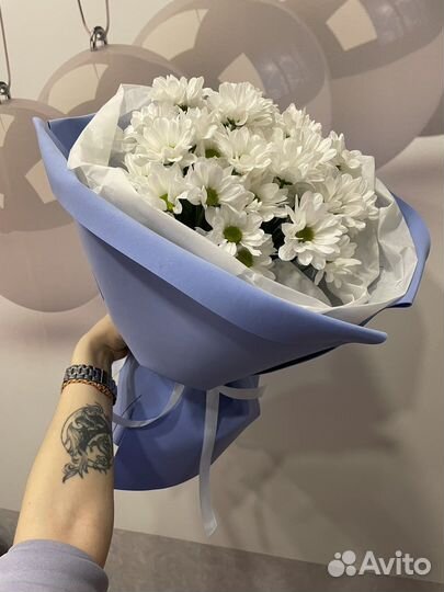 Хризантема ромашка букет подарок живые цветы