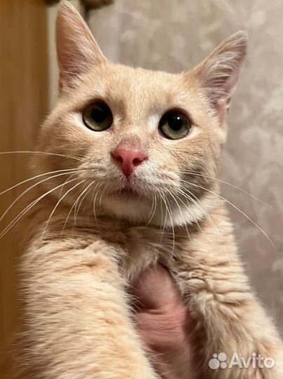 Малыш в беде