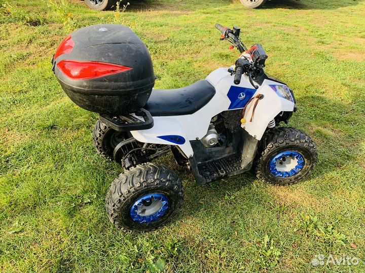 Детский квадроцикл ATV 110 yacota raposa