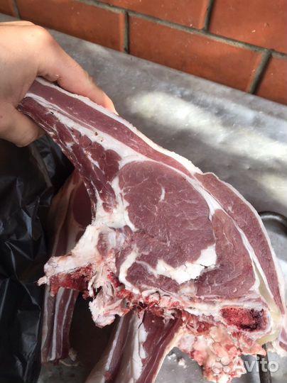 Говядина баранина