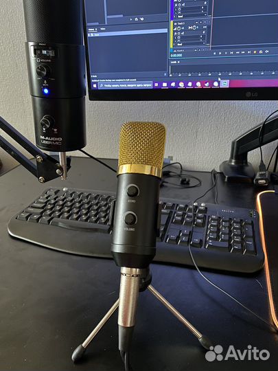 Микрофон MK 100-TL