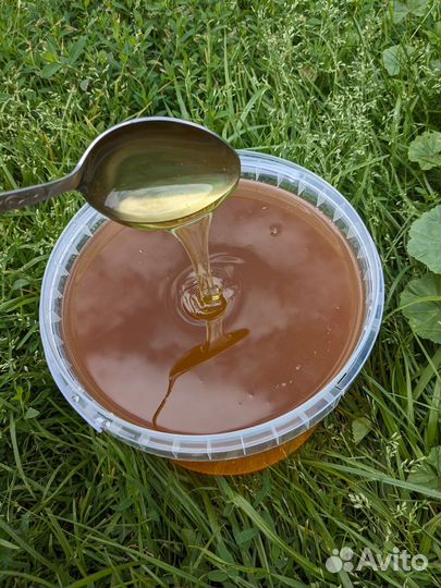 Мёд свежий 2023, 3 литра