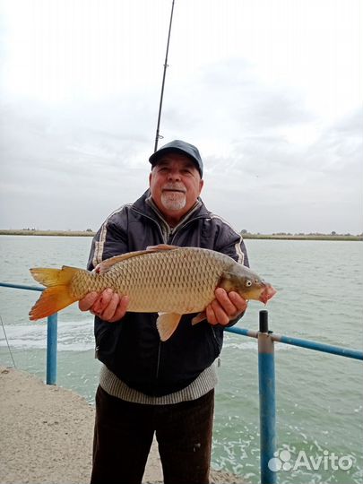 Отдых и рыбалка Дон