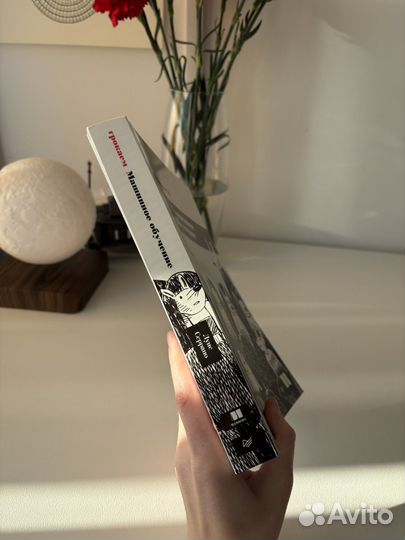 Луис Серрано, Грокаем машинное обучение