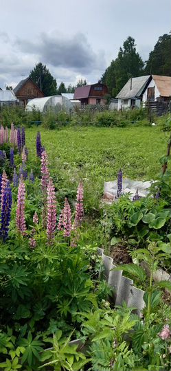 Дача 20 м² на участке 7,5 сот.