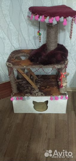 Когтеточка домик для кошки бу