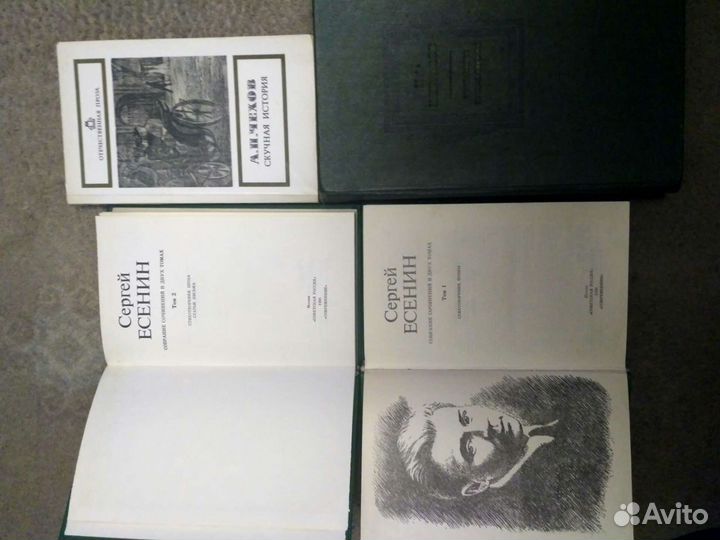 Н.А. Некрасов, С. Есенин, А.П. Чехов