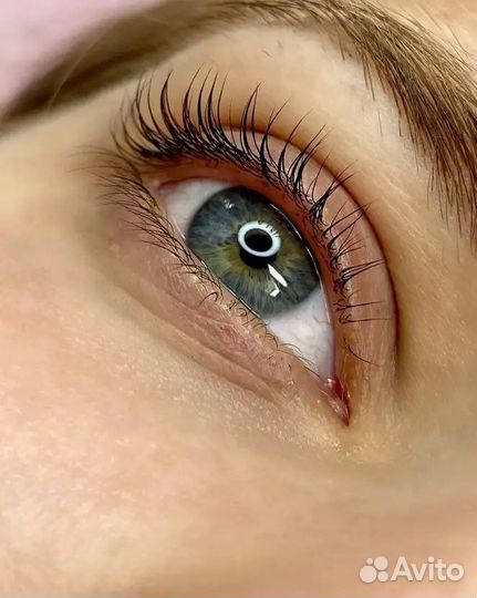 Курсы и услуги