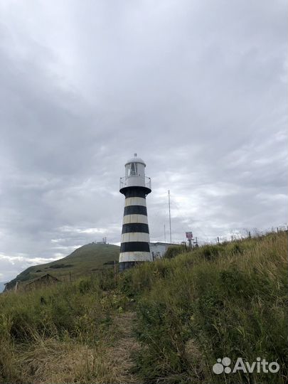 Аренда авто с водителем