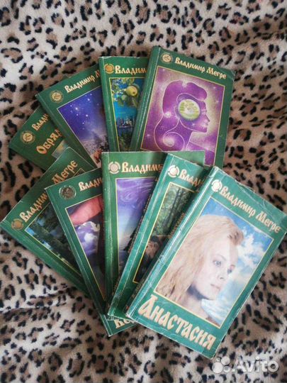 Книга. Владимир Мегре