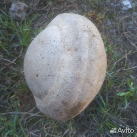 Камень редкий