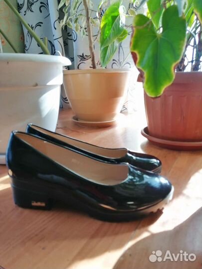 Женская одежда и обувь