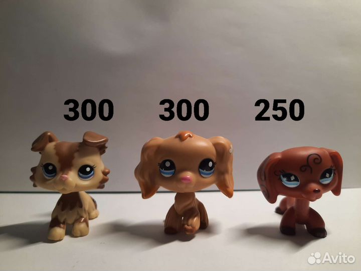 Лпс стоячки Лпс LPS