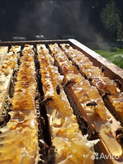 Настоящий качественный Мёд