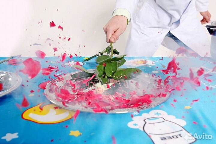 Аниматоры, серебряное шоу, химическое шоу