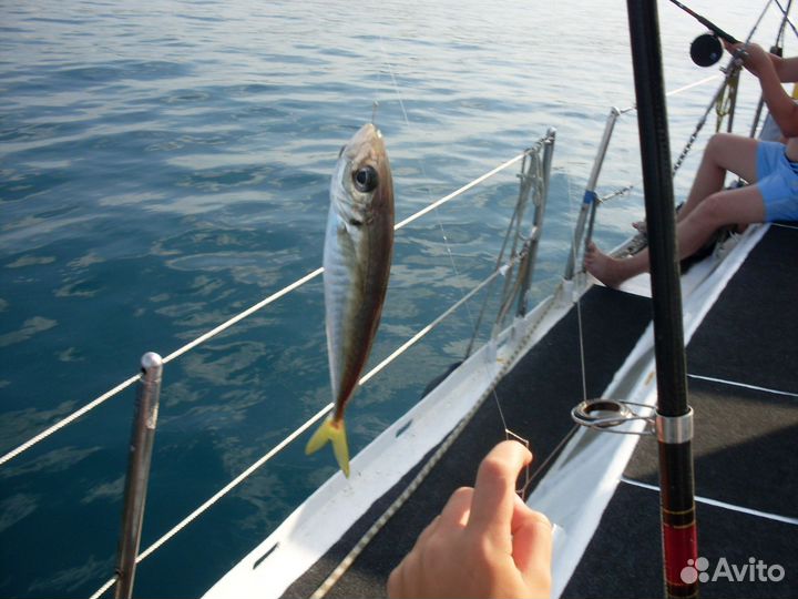 Экскурсии Сочи 