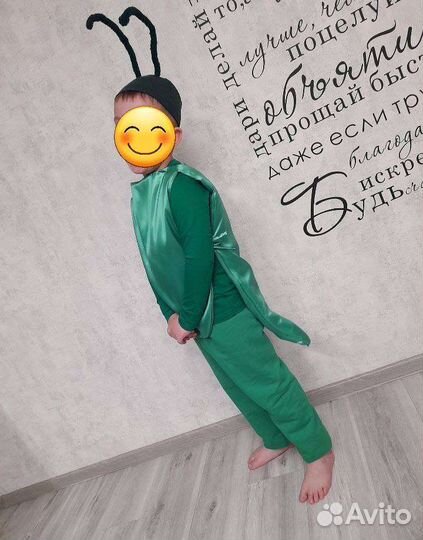 Костюм кузнечика