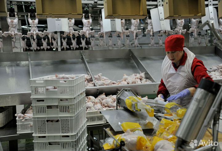 Упаковщик полуфабрикатов вахтой проживание/питание