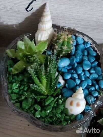 Флорариумы под заказ и в наличии