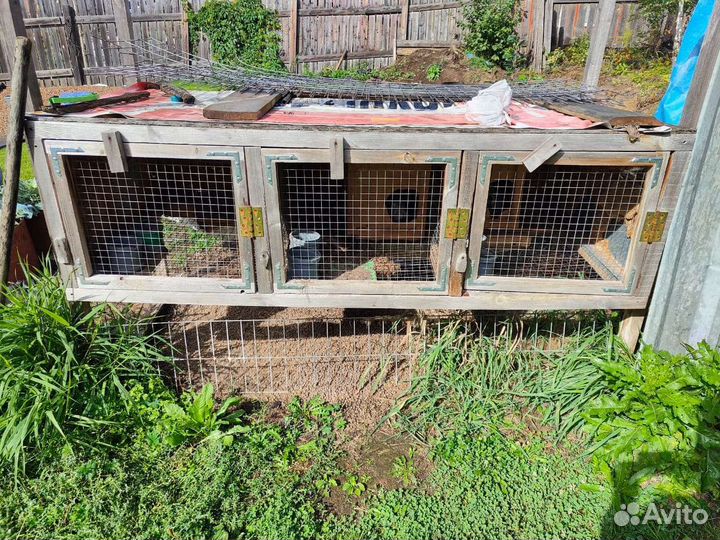 Кролики с клетками