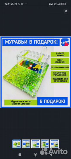 Муравьиная ферма