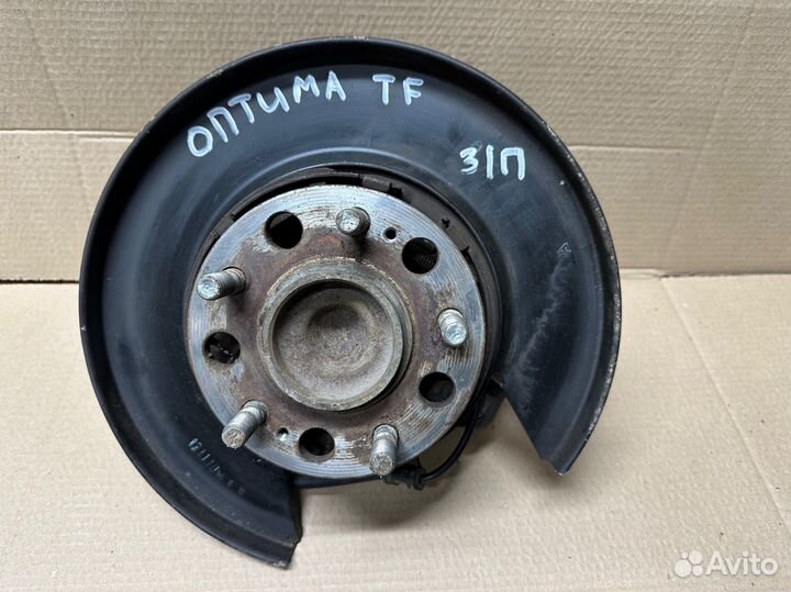 Кулак (цапфа ступица)задний правый Kia Optima 3