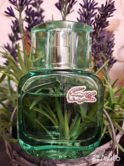 Аромат Lacoste Natural