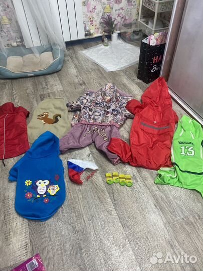 Одежда для собак L-2XL