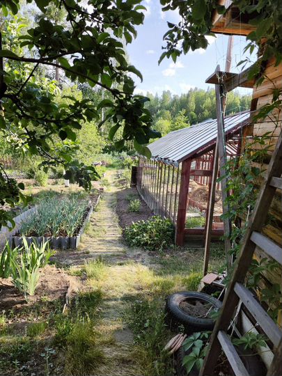 Дача 56 м² на участке 9,5 сот.