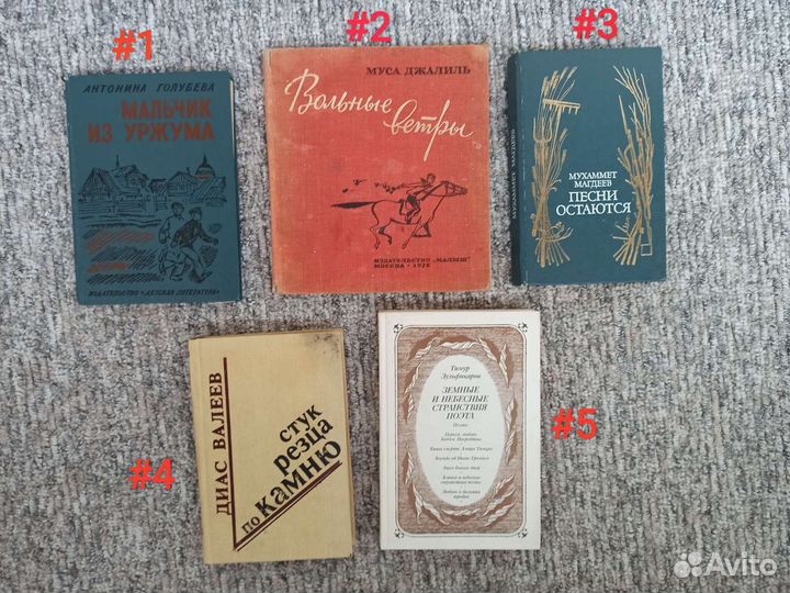 Татарские и русские писатели и поэты