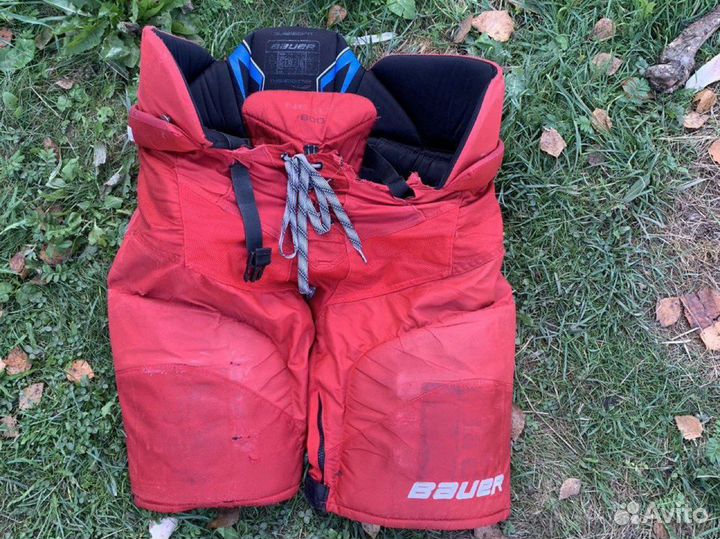 Хоккейные шорты трусы bauer nexus 800