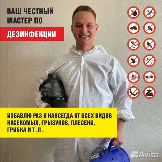 Дезинсекция