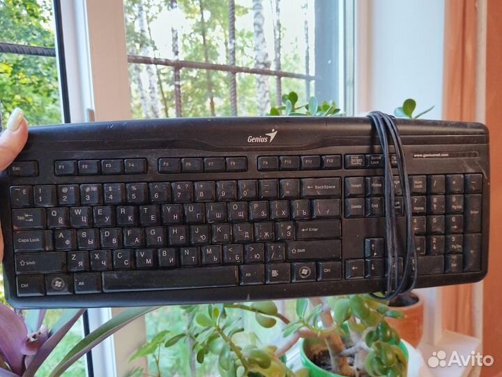 Клавиатура genius