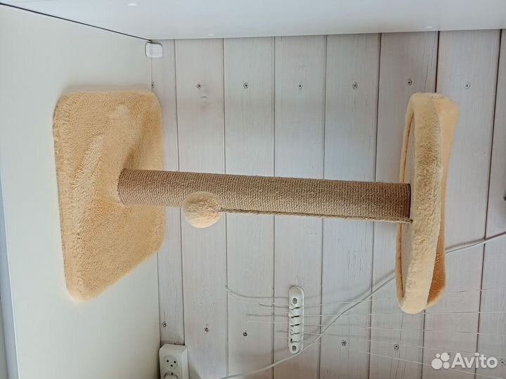 Когтеточка с лежанкой для котенка