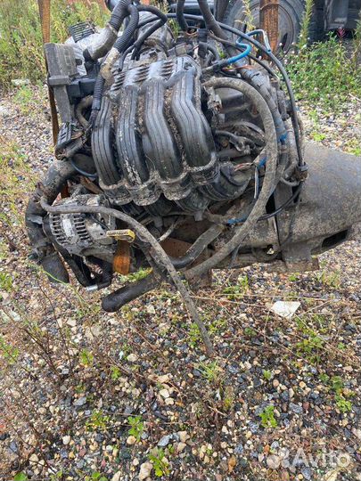 Двигатель Chrysler 2.4 на Газель, Волгу