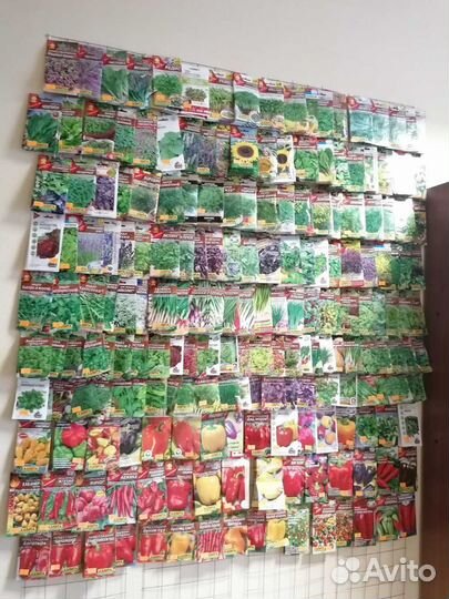 Семена. Доставка