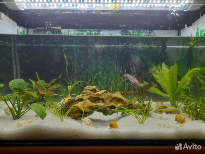 Грунт, грот