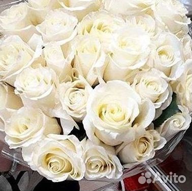 Розы Цветы Букеты 25 51 151 201 101 301 501 опт