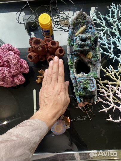 Декорации для аквариума + камни, грунт