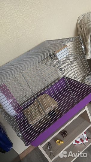 Клетка для грызунов большая, колесо, дом