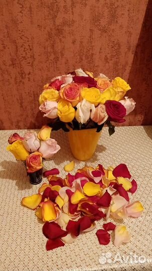 Лепестки роз