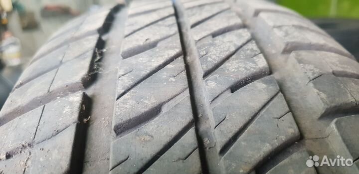 Sava Perfecta 195/65 R15