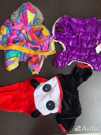 Одежда для мелких собак