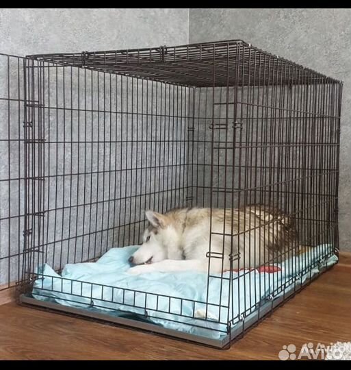 Клетка для собак 5