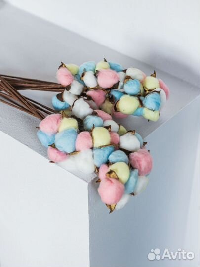 Хлопок разноцветный